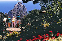 Capri, Bl. zur Marina Picola
