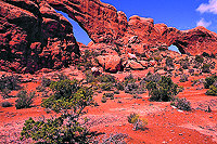Windows Section, Arches N.P.