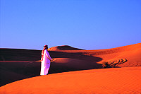 Dubai-Desert Conservation Reserve 