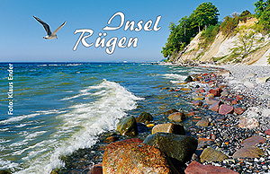 Magnet Kreideküste Rügen mit Möwe