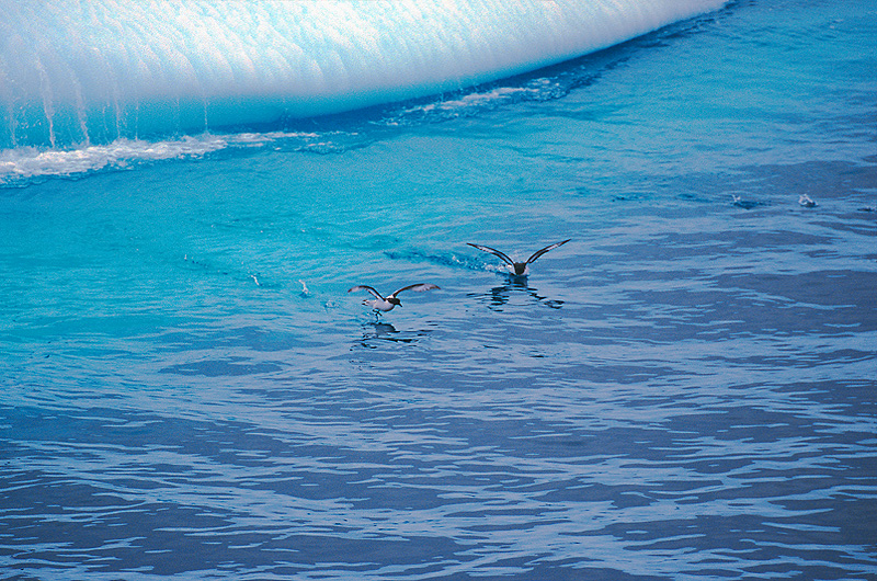 zur &Uuml;bersicht Antarktis 4