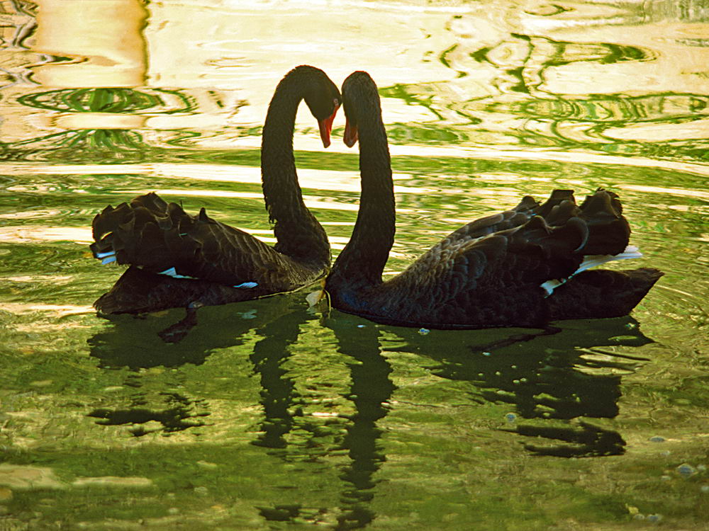 zur &Uuml;bersicht Augenblicke 4