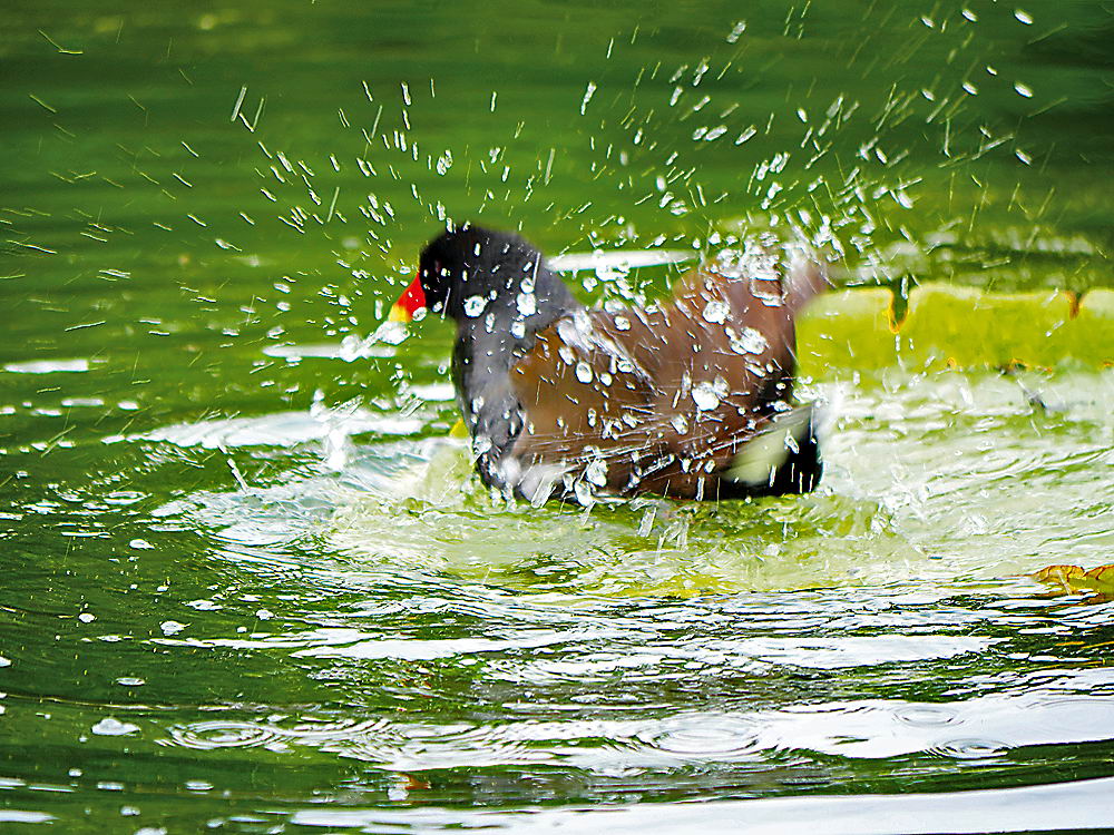 zur &Uuml;bersicht Augenblicke 4