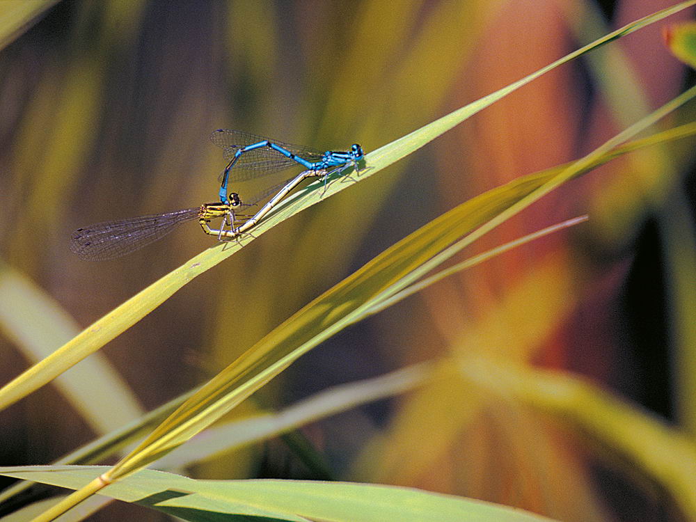 zur &Uuml;bersicht Augenblicke 4