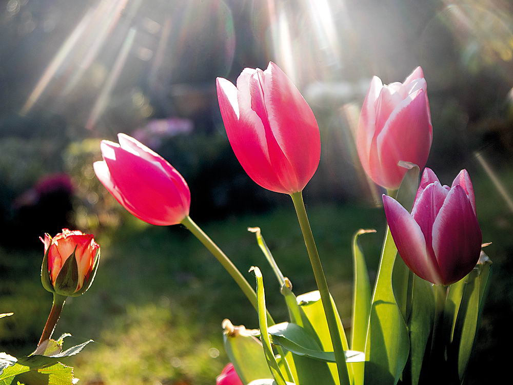 zur &Uuml;bersicht Augenblicke 4