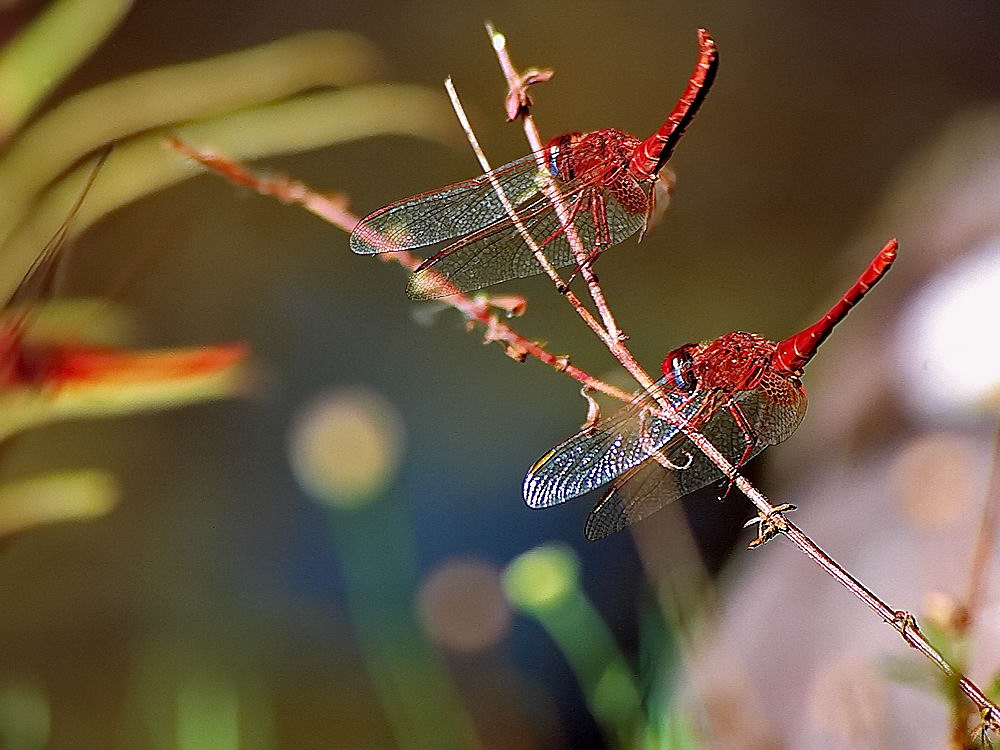 zur &Uuml;bersicht Augenblicke 4