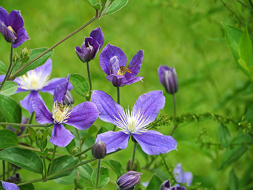 zur &Uuml;bersicht Augenblicke 4