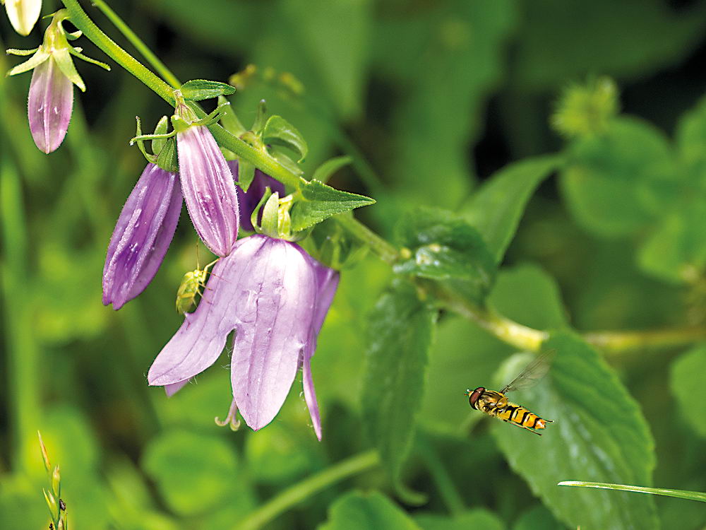zur &Uuml;bersicht Augenblicke 4