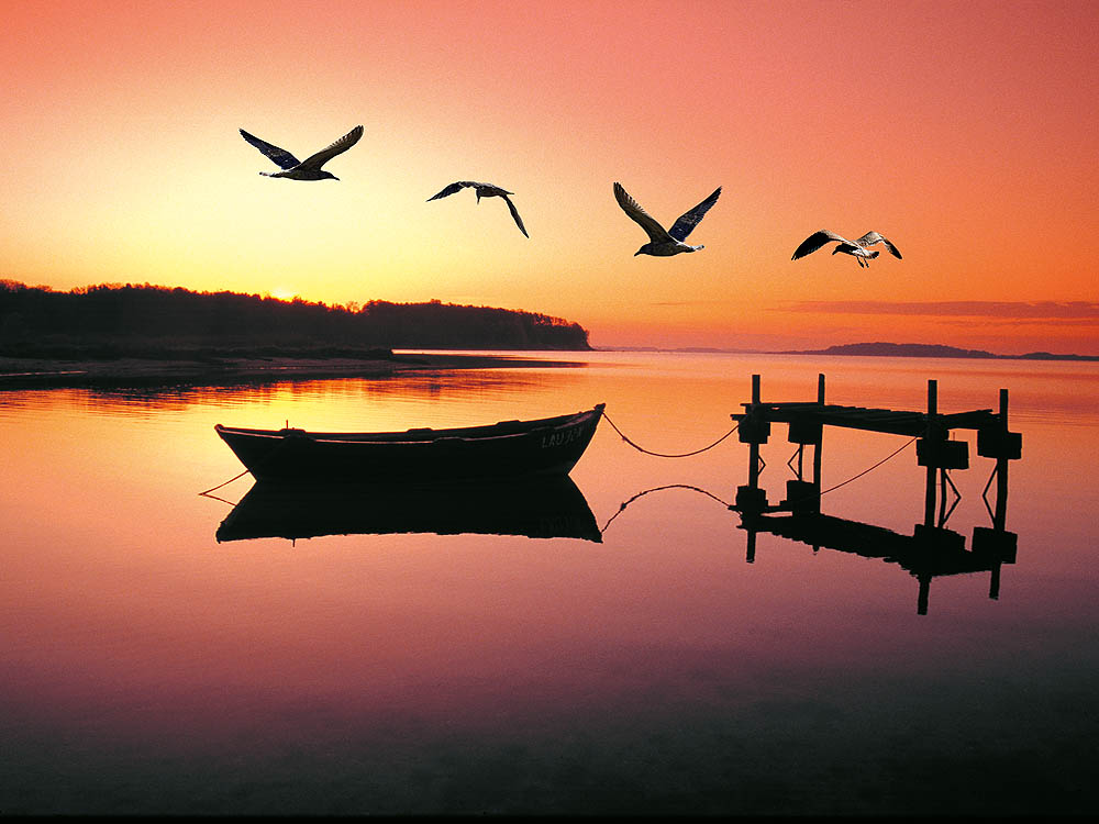 zur &Uuml;bersicht Augenblicke 5