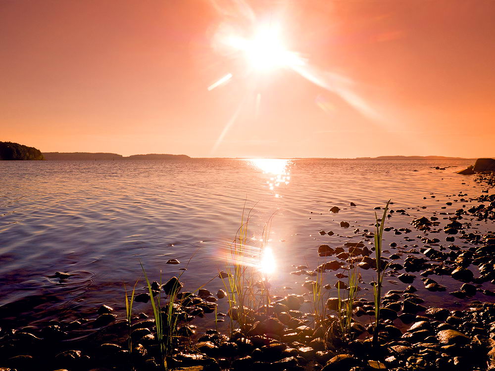 zur &Uuml;bersicht Augenblicke 5