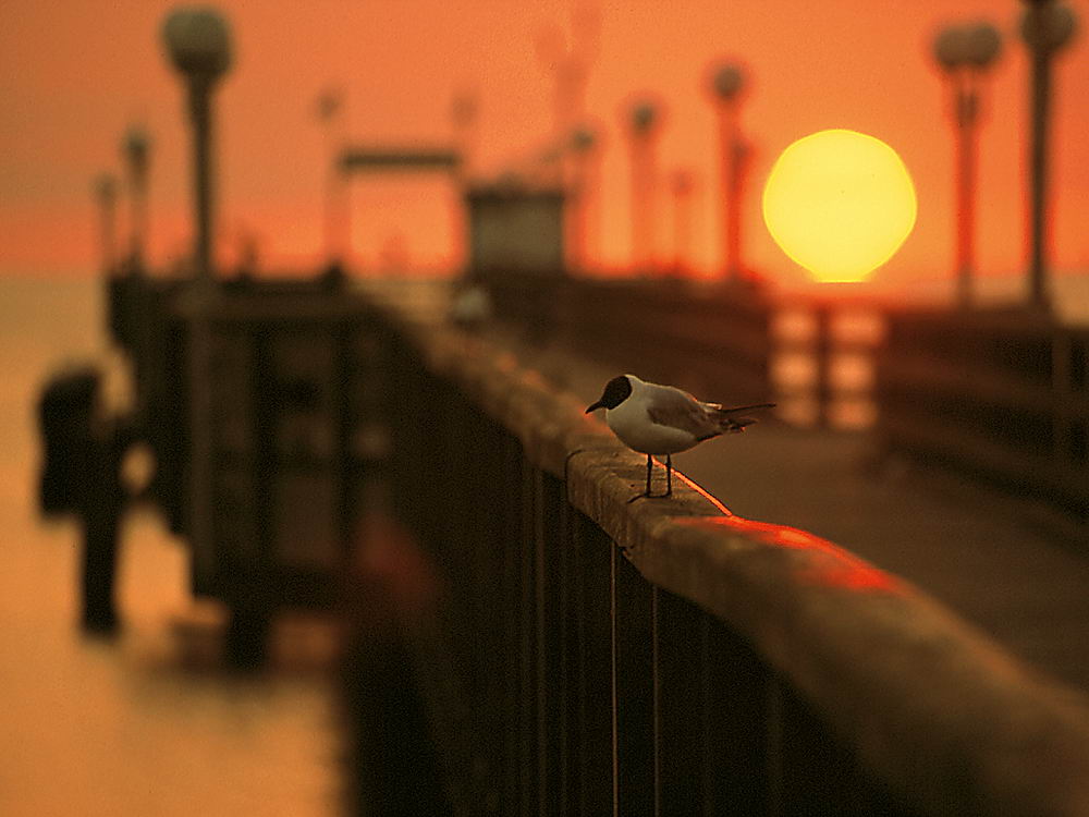 zur &Uuml;bersicht Augenblicke 5