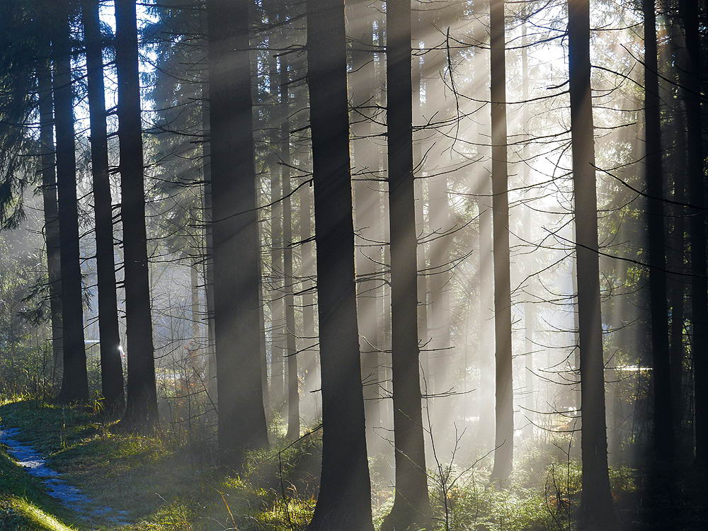 zur &Uuml;bersicht Augenblicke 5