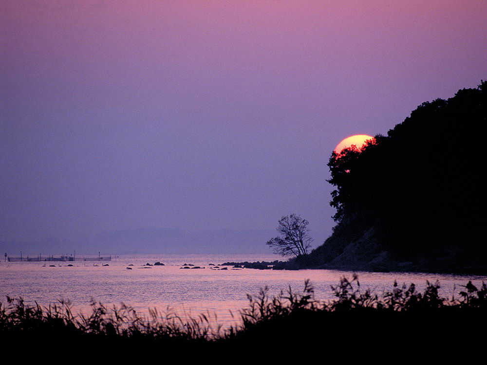 zur &Uuml;bersicht Augenblicke 5