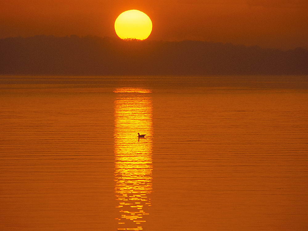 zur &Uuml;bersicht Augenblicke 5