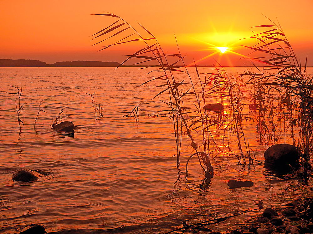 zur &Uuml;bersicht Augenblicke 5