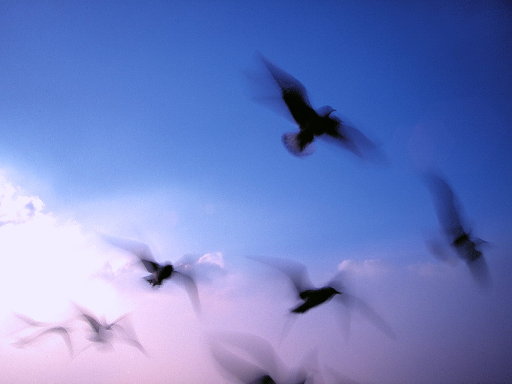 zur &Uuml;bersicht Augenblicke 6