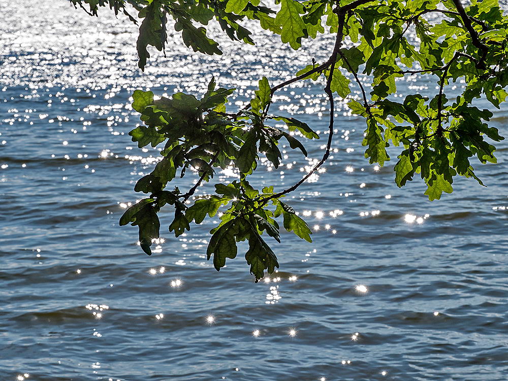 zur &Uuml;bersicht Augenblicke 6