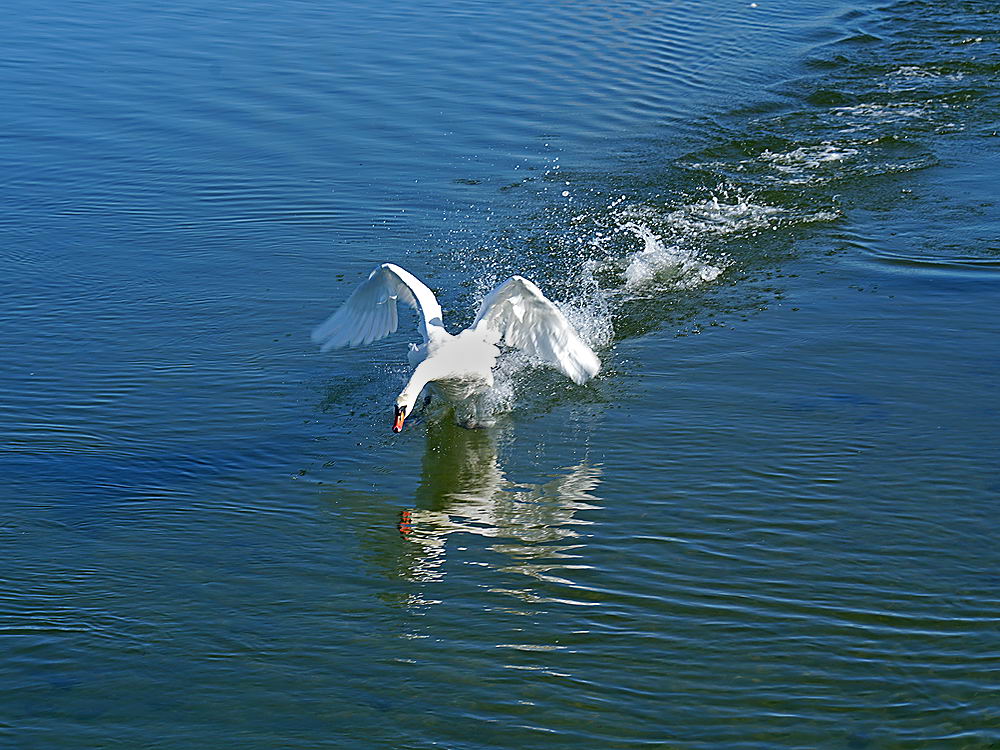 zur &Uuml;bersicht Augenblicke 6