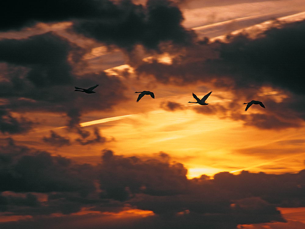 zur &Uuml;bersicht Augenblicke 6