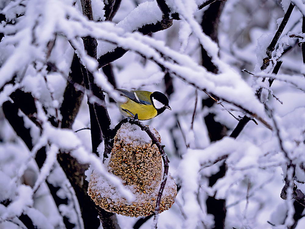 zur &Uuml;bersicht Augenblicke 6