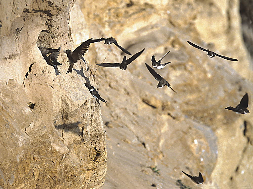 zur &Uuml;bersicht Augenblicke 6