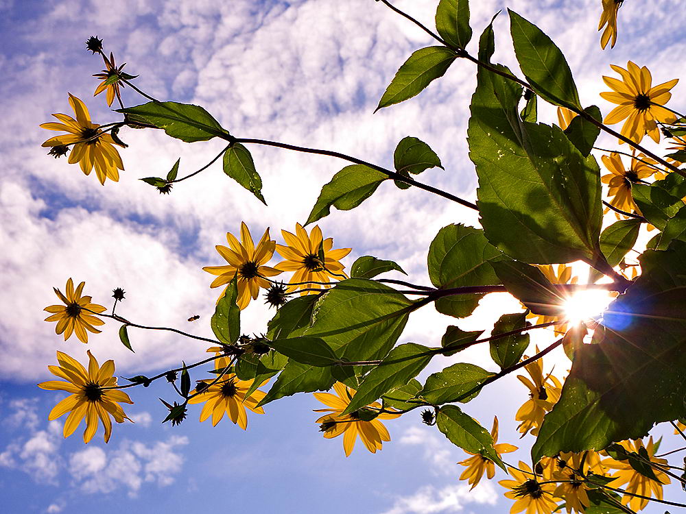 zur &Uuml;bersicht Augenblicke 6