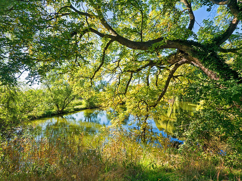 zur &Uuml;bersicht B&auml;ume 10