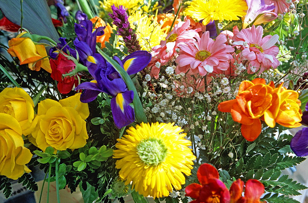 zur &Uuml;bersicht Blumenstr&auml;usse 1