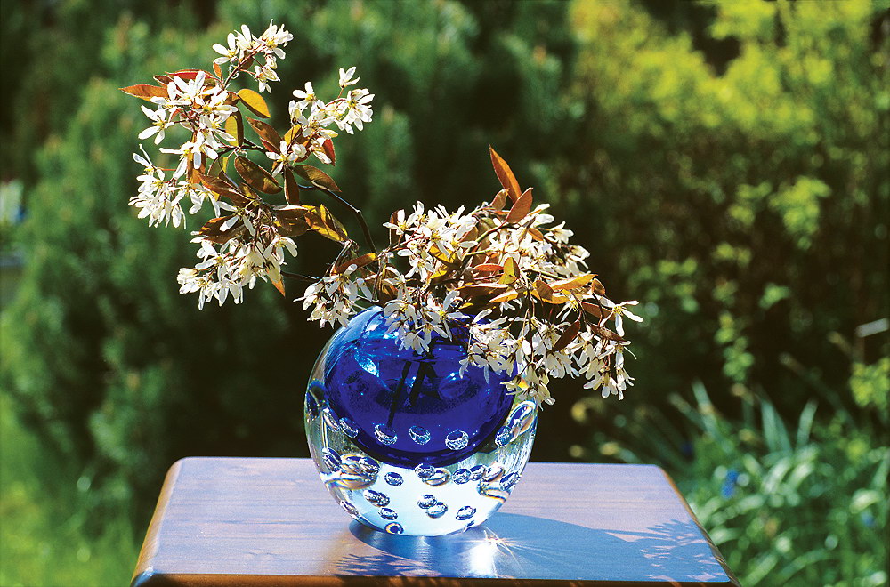 zur &Uuml;bersicht Blumenstr&auml;usse 2