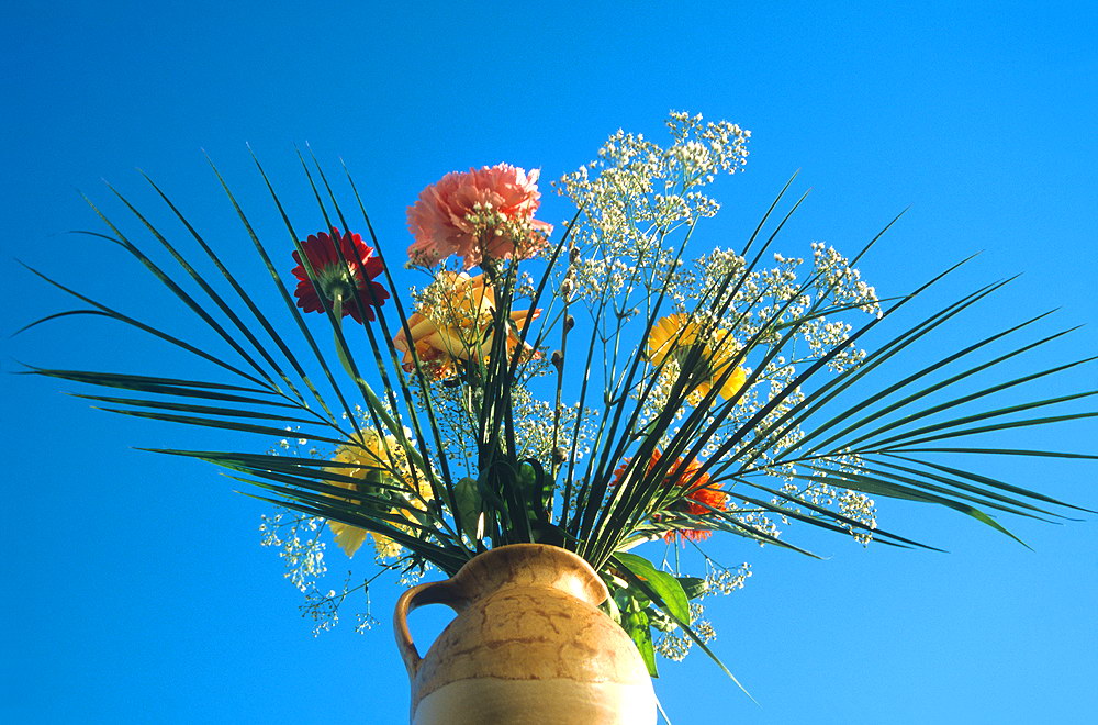 zur &Uuml;bersicht Blumenstr&auml;usse 2