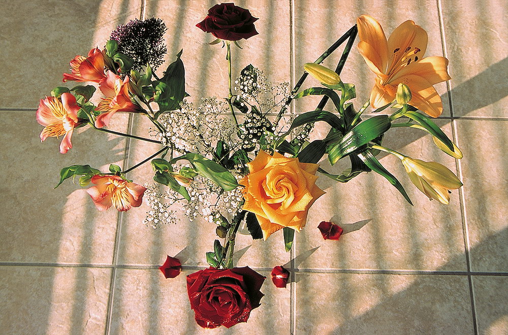 zur &Uuml;bersicht Blumenstr&auml;usse 2