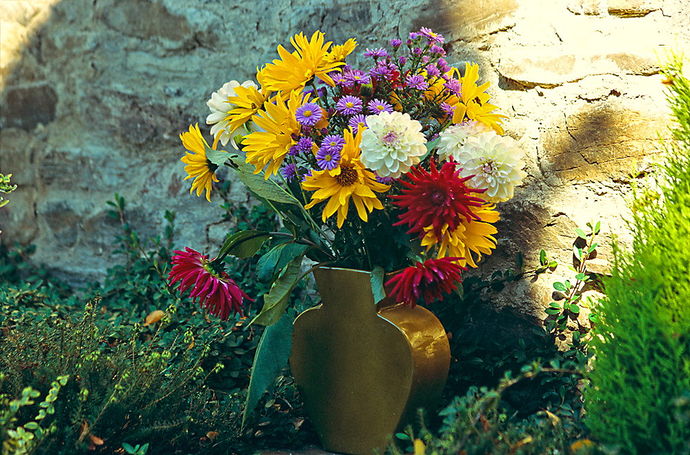 zur &Uuml;bersicht Blumenstr&auml;usse 2