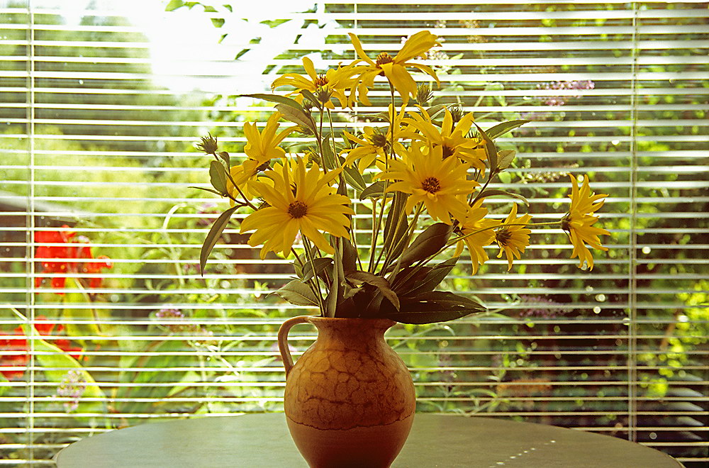 zur &Uuml;bersicht Blumenstr&auml;usse 3