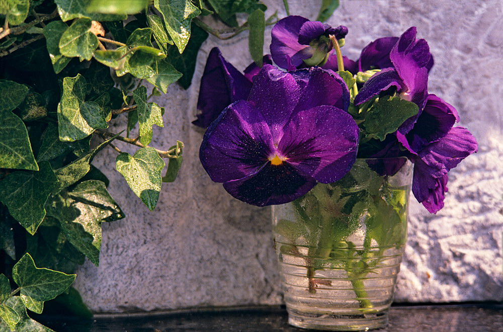 zur &Uuml;bersicht Blumenstr&auml;usse 3