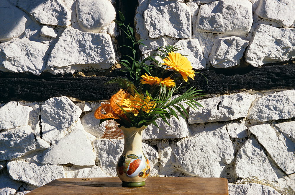 zur &Uuml;bersicht Blumenstr&auml;usse 3