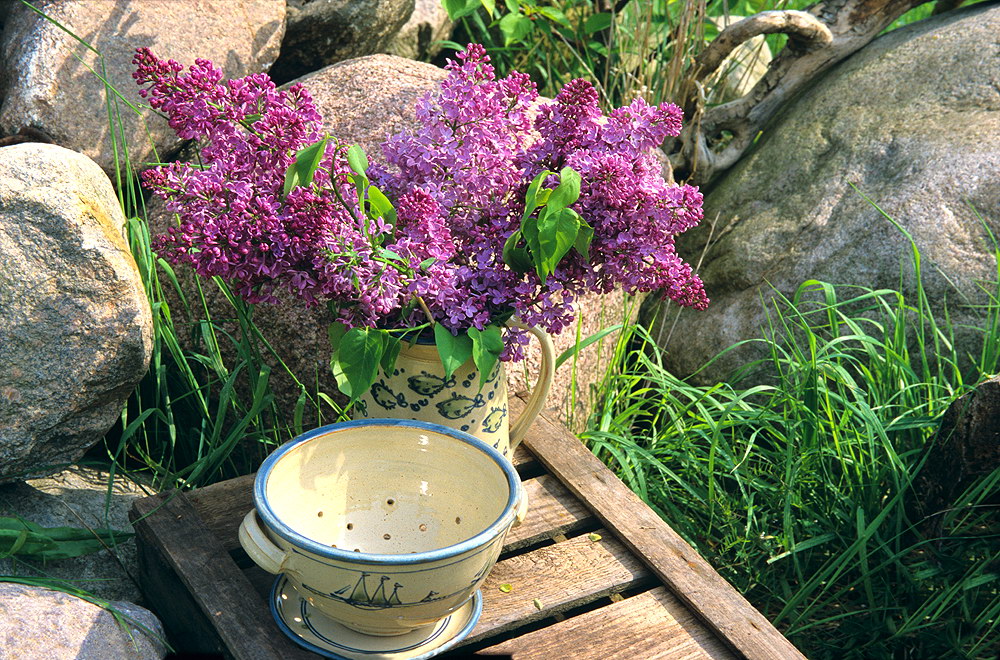 zur &Uuml;bersicht Blumenstr&auml;usse 3