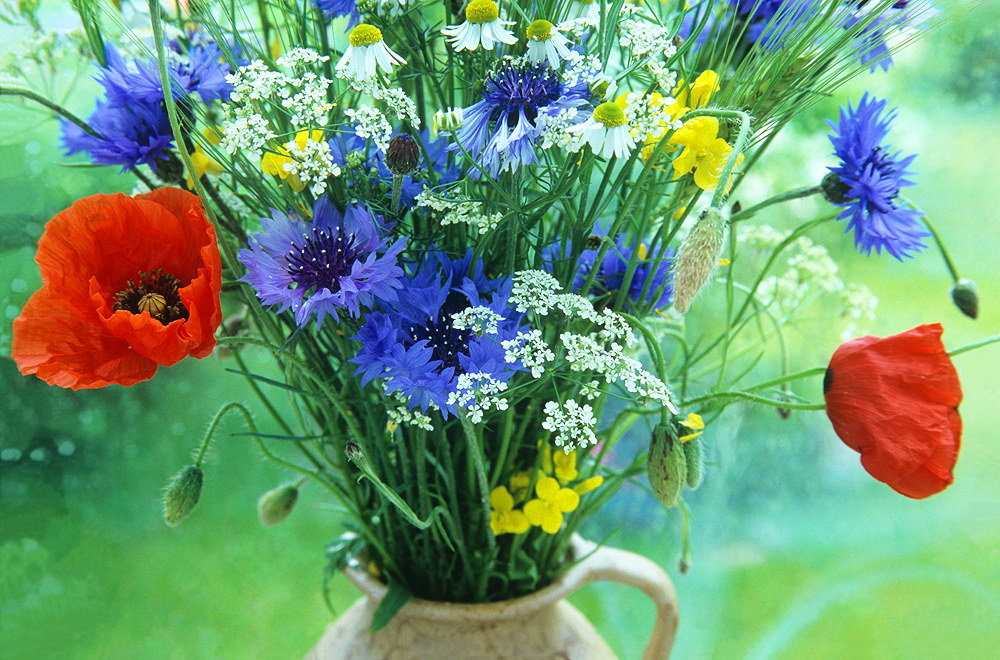 zur &Uuml;bersicht Blumenstr&auml;usse 3
