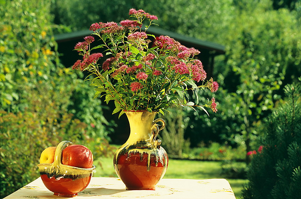 zur &Uuml;bersicht Blumenstr&auml;usse 3