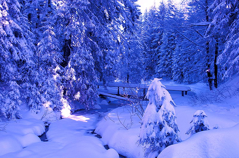 zur &Uuml;bersicht Br&uuml;cken 5