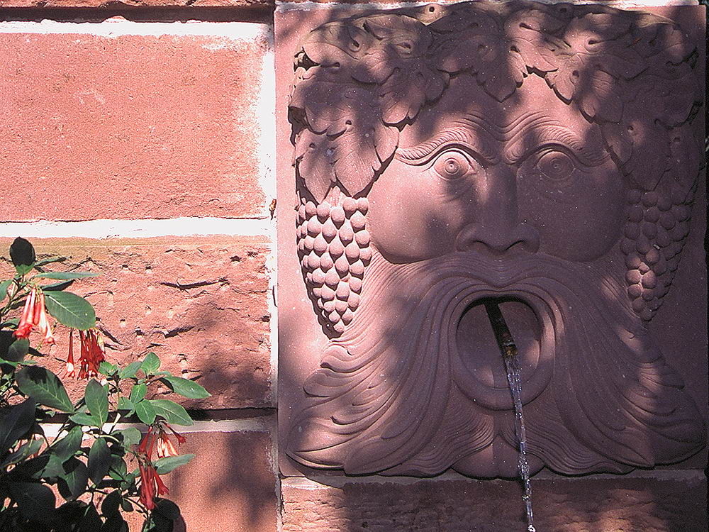 zur &Uuml;bersicht Brunnen 6