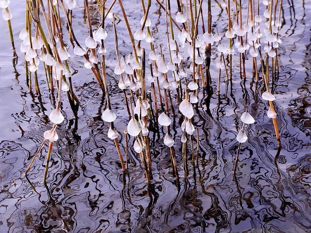 zur &Uuml;bersicht Eiskunst 2