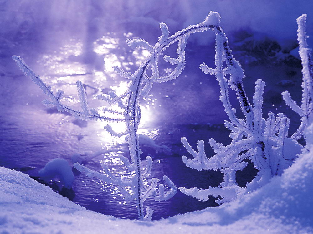 zur &Uuml;bersicht Eiskunst 2