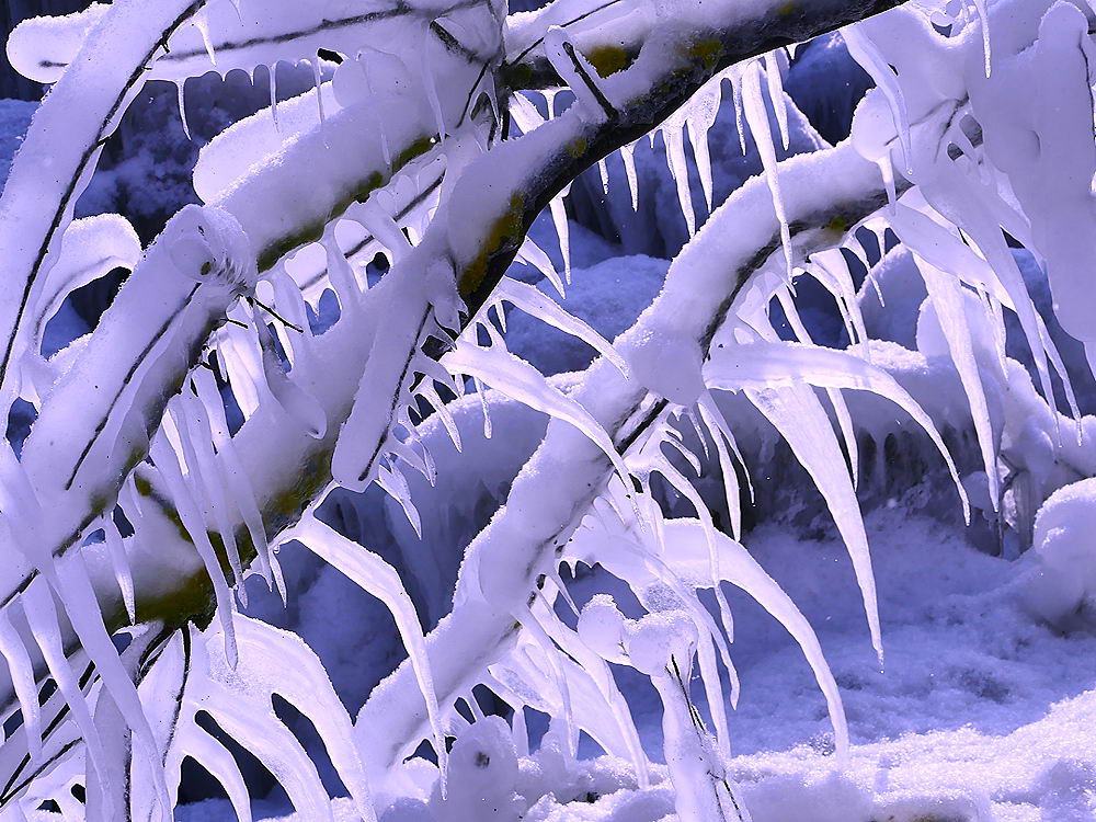 zur &Uuml;bersicht Eiskunst 2