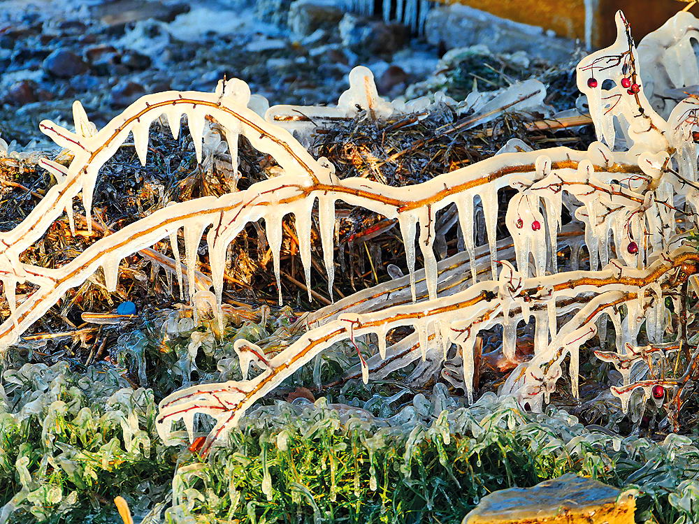 zur &Uuml;bersicht Eiskunst 2