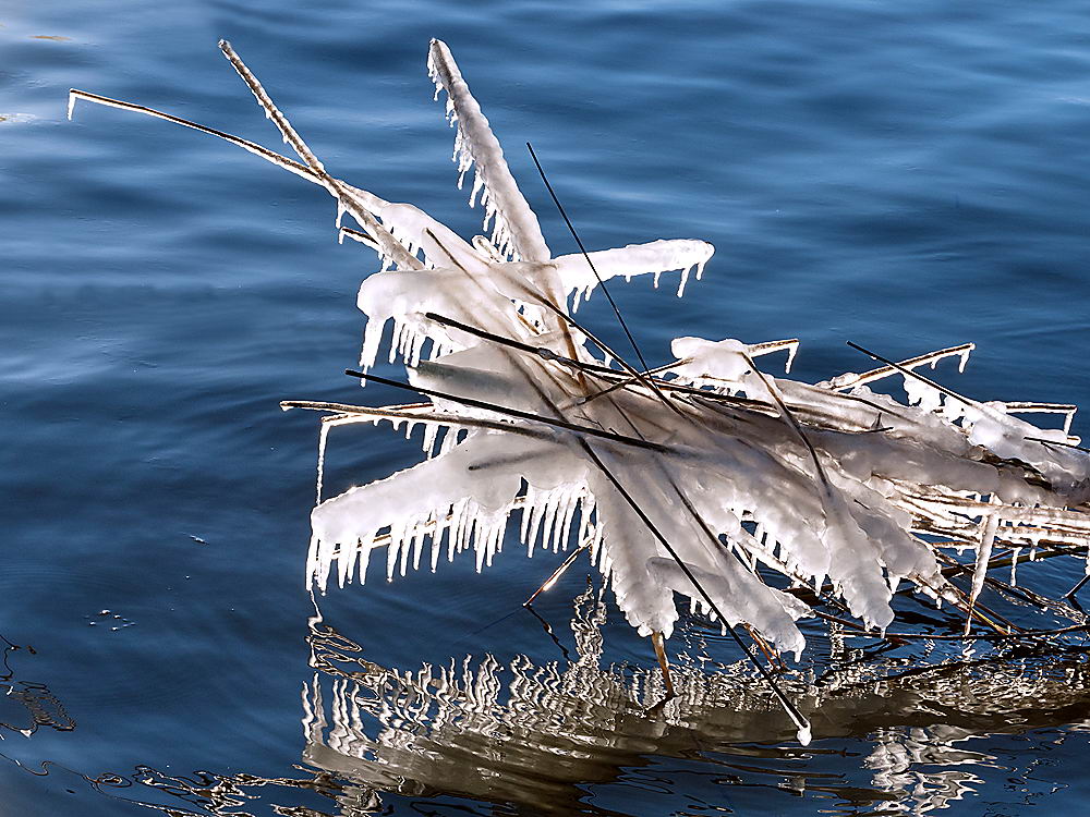 zur &Uuml;bersicht Eiskunst 3