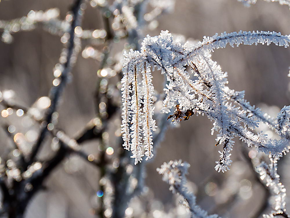 zur &Uuml;bersicht Eiskunst 3