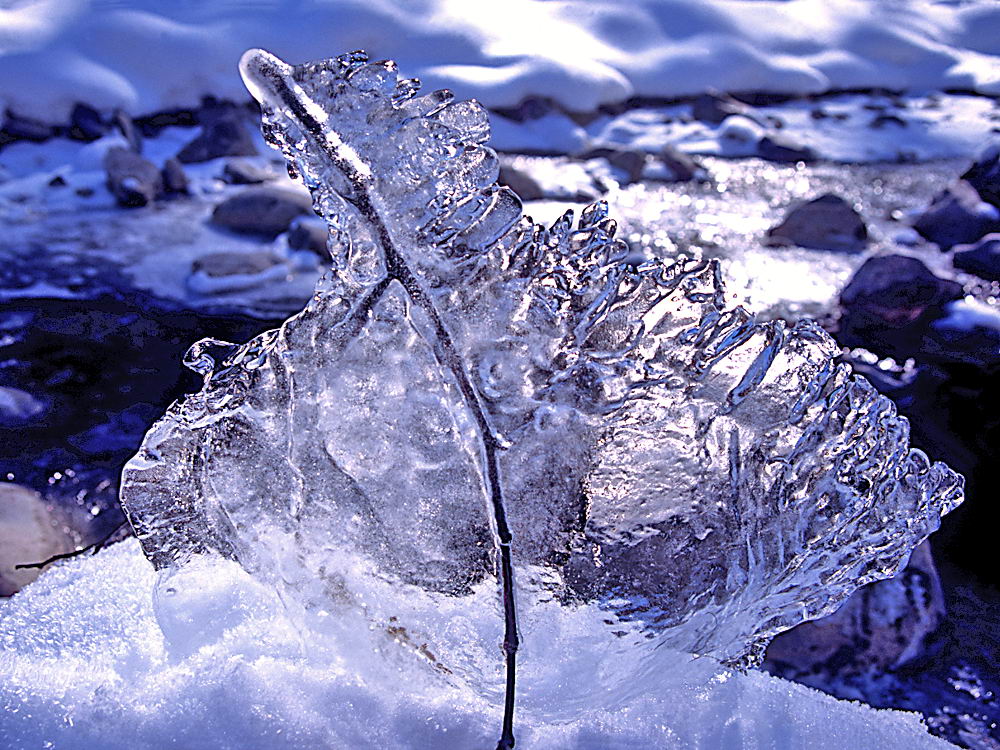 zur &Uuml;bersicht Eiskunst 4