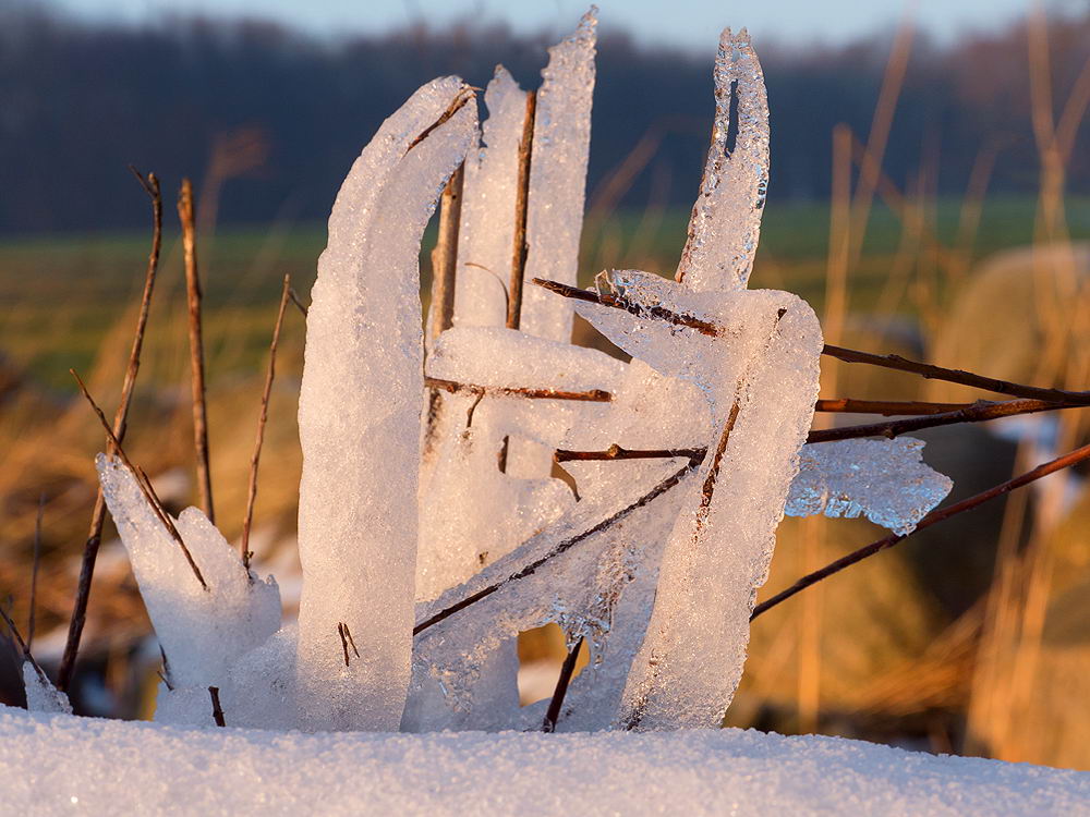 zur &Uuml;bersicht Eiskunst 4
