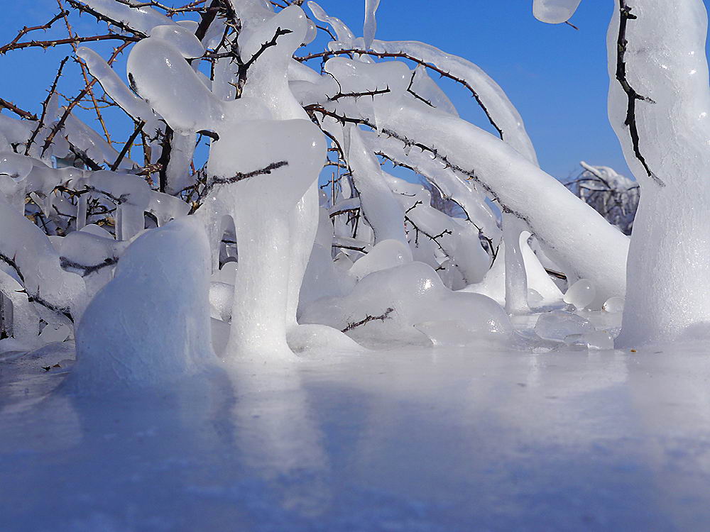 zur &Uuml;bersicht Eiskunst 4