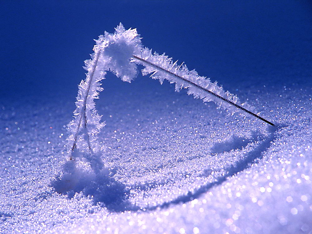 zur &Uuml;bersicht Eiskunst 5